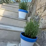 Casa Nina